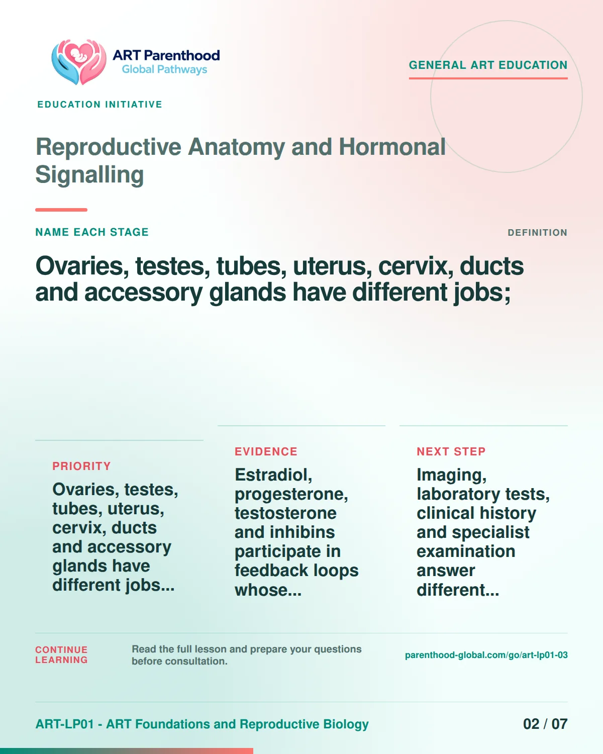 Slide 2 of ART-LP01-03 uses an accessible scientific illustration to explain anatomy and hormonal signalling without implying a personal diagnosis.