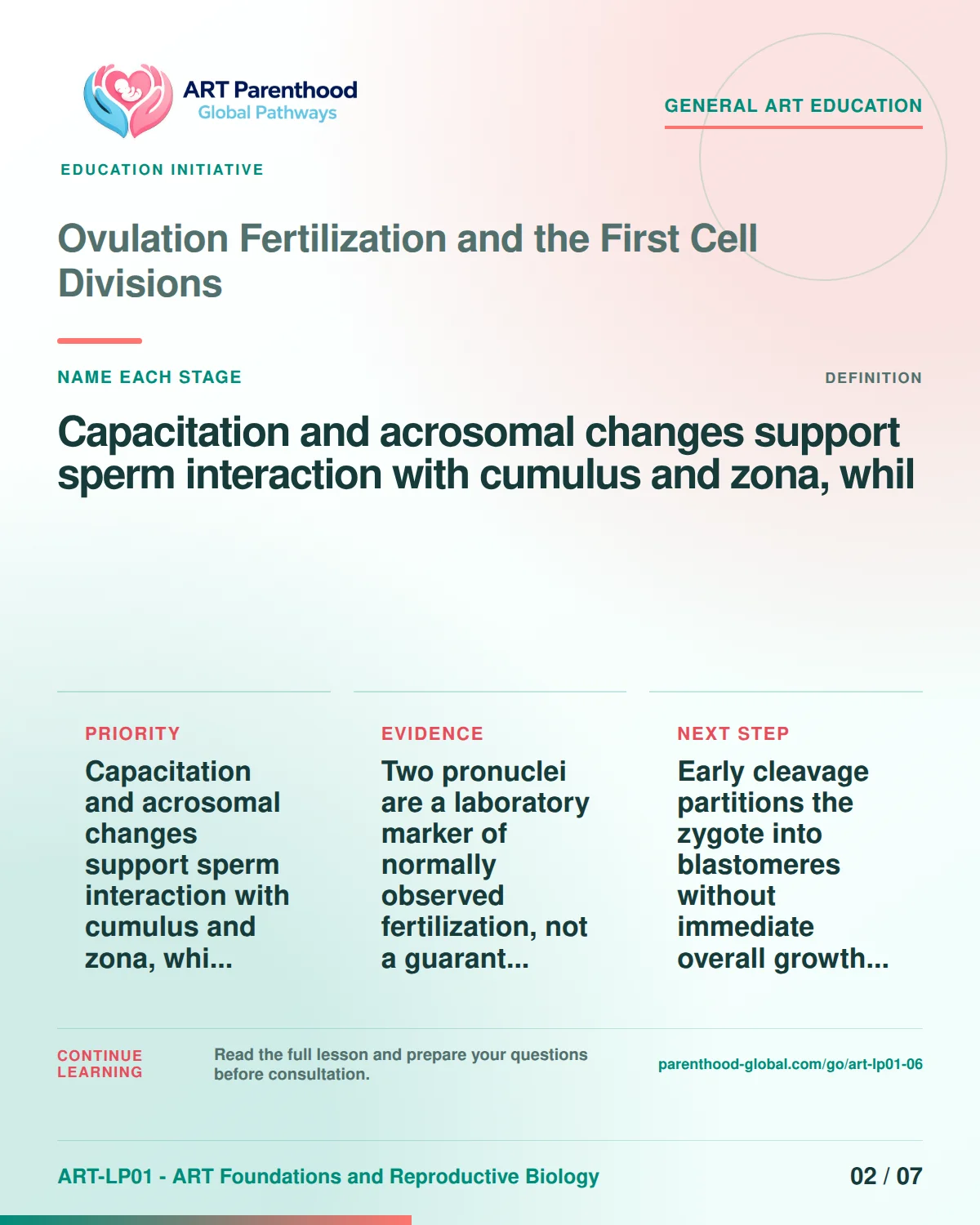 Slide 2 of ART-LP01-06 uses an accessible scientific illustration to explain ovulation, fertilization and first cell divisions without implying a personal diagnosis.