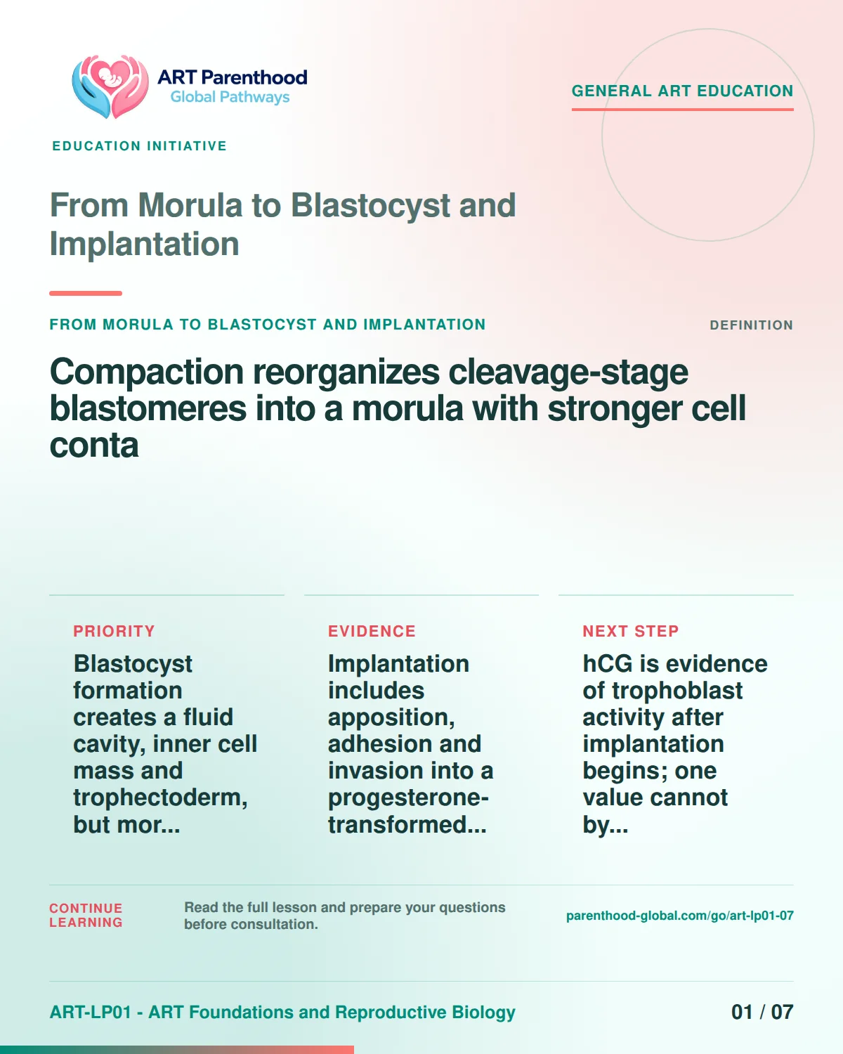 Slide 1 of ART-LP01-07 uses an accessible scientific illustration to explain from morula to blastocyst and implantation without implying a personal diagnosis.