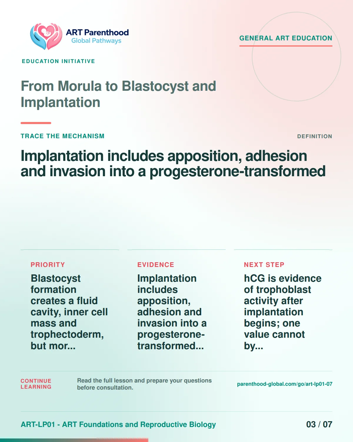 Slide 3 of ART-LP01-07 uses an accessible scientific illustration to explain from morula to blastocyst and implantation without implying a personal diagnosis.