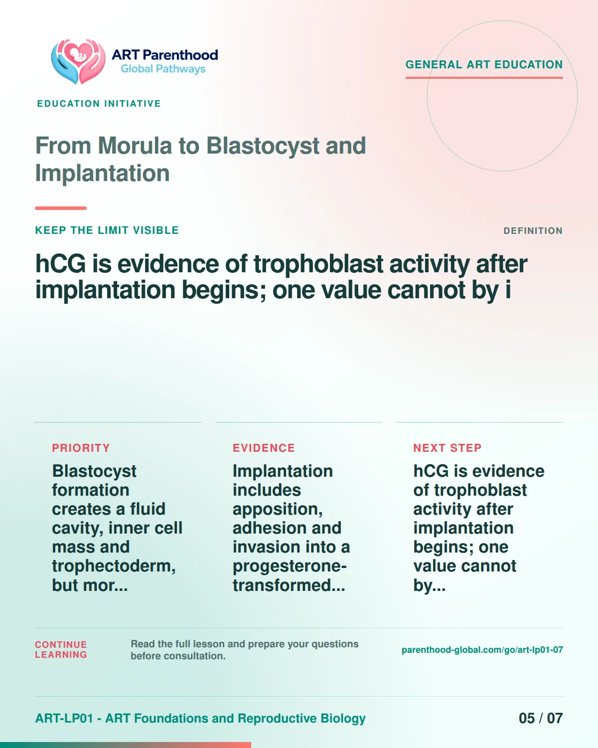 Slide 5 of ART-LP01-07 uses an accessible scientific illustration to explain from morula to blastocyst and implantation without implying a personal diagnosis.